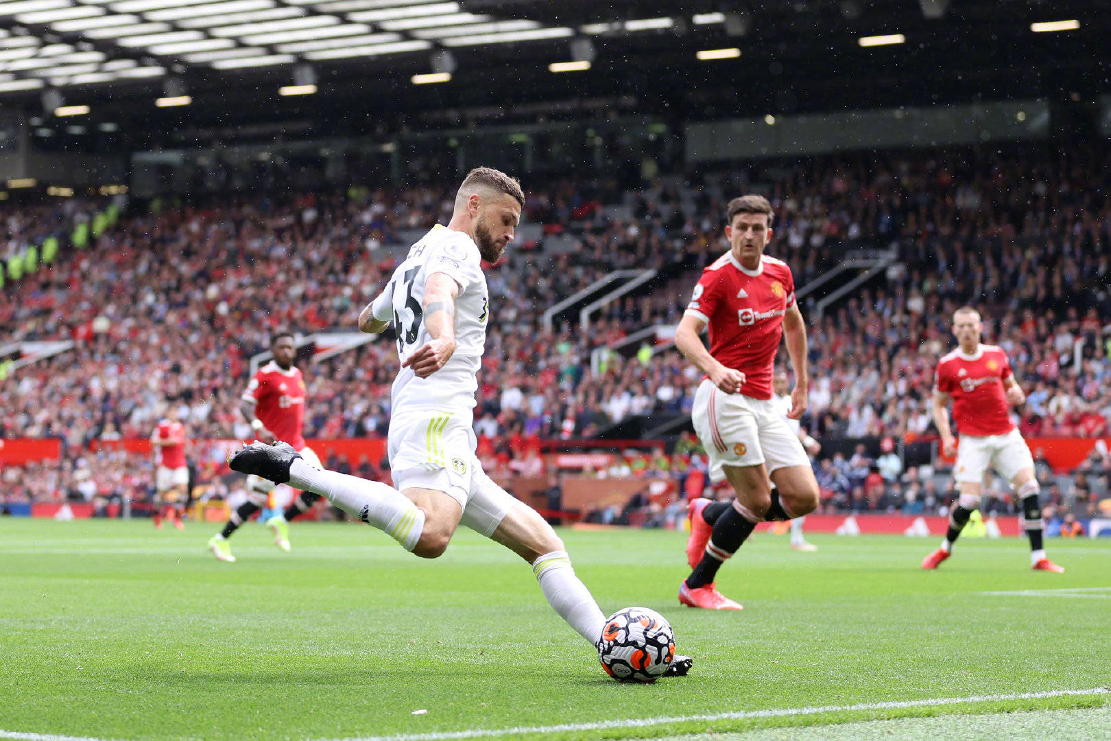 供了宝贵的 供了宝贵的